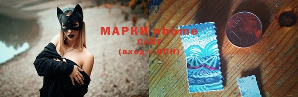 индика Алексин
