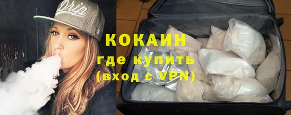 прущие грибы Медногорск
