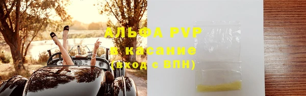 индика Алексин