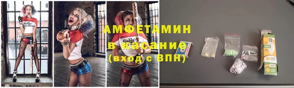 индика Алексин