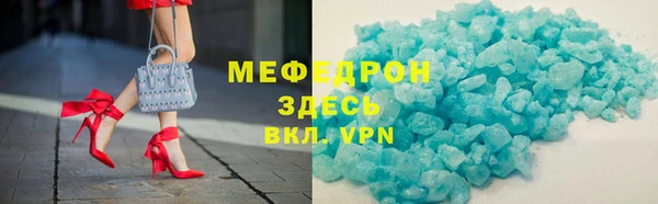 индика Алексин