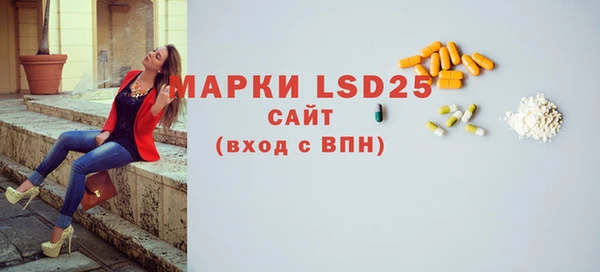 индика Алексин
