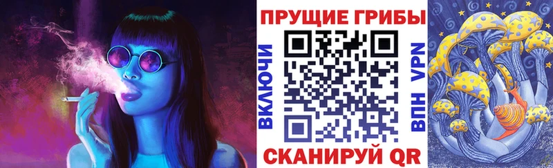 Псилоцибиновые грибы ЛСД Обнинск
